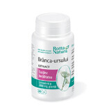 Extract van berenmanen, 60 capsules, Rotta Natura