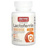 Lactoferrin 250mg, 60 Kapseln, Jarrow Formulas