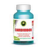 Cardiobor, 60 cápsulas, Hipérico