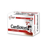 Cardioton, 40 cápsulas, FarmaClass