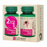 Pachet Echinacea Forte, 60+60 cpr, Dacia Plant