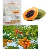 Papaye Bio en morceaux, 150 g, Managis