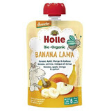 Banane, Apfel, Mango und Aprikose püriert, +6 Monate, 100 g, Holle Babynahrung