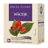 Té de diente de león, 50 g, Dacia Plant