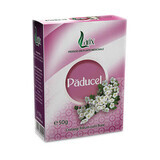 Paducel tea, 50 g, Larix