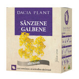 Sanziene Gele Thee, 50 g, Dacia Plant