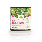 Silueto-plant thee, 150 g, Dorel Plant