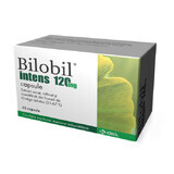 Bilobil Intens 120 mg, 60 Kapseln, Krka