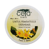 Crema con mantequilla de tierra y tattaneasa, 50 ml, Ceta Sibiu