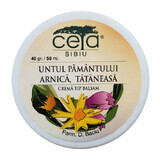 Crema cu untul pamantului, tataneasa si arnica, 50 ml, Ceta Sibiu