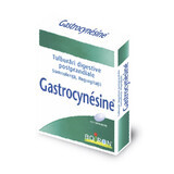 Gastrocynesine, 60 comprimidos, Boiron