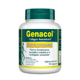 Genacol Plus Glucozamine, 90 cápsulas, Darmaplant