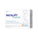 Natalvit Profolic, 60 comprimidos, Hyllan