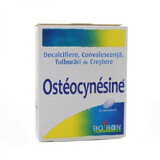 Osteocinesina, 60 comprimidos, Boiron