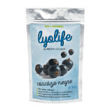 Lyolife cassis lyophilisé, 30 g, Lifesense