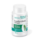 Coada-calului extract, 30 capsule, Rotta Natura