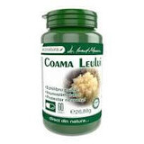 Coama Leului, 60 capsule, Pro Natura