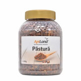 Pastos, 500 g, Apiland