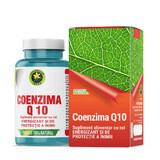 Coenzym Q10, 60 Kapseln, Hypericum