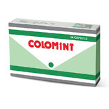 Colomint, 24 capsules, Pharco