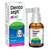 Dentosept Mini spray gengivale, 30 ml, estratto vegetale