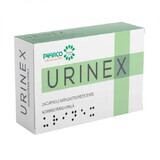 Urinex, 24 cápsulas blandas, Pharco