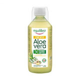 Bebida de extracto de aloe vera y jengibre, 500ml, Equilibra