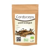 Cordyceps polvo crudo, 60 g, Obio