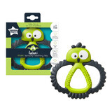 Kalani Maxi Sensory Gingival Ring Toy, +3 maanden, Groen, Tommee Tippee