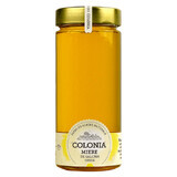 Miele grezzo di acacia, 800 g, Colonia