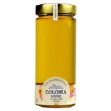 Miere poliflora cruda, 800 g, Colonia