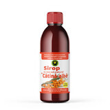 Sirop de catina sans sucre, 500ml, Hypericum