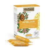 Apielixir inmunidad y bienestar, 10 ampollas x 10 ml, Albina Carpatina