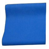 2463 Bandeau d'exercice (bleu)