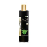 Ayurmed Aloe Champú Deluxe 250 ml