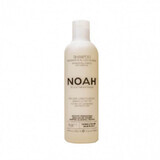 Champú de aceite de argán para cabellos muy secos y tratados (1.4) x 250ml, Noah