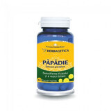 Paardenbloem extract, 60 cps, Herbagetica