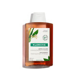 Shampooing anti-matouche au Galanga, 200 ml, Klorane