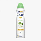 Deodorant for women Cucumber, 150 ml, Dove