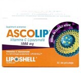 Vitamina C Liposomal con sabor a anacardo, 1000 mg, 30 sobres, Liposhell