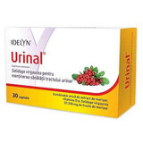 Idelyn Urinaal, 30 capsules, Walmark