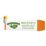 Balsam de buze cu ulei de catina, samburi de struguri si portocale 4.8 g, Verre de Nature