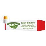 Bálsamo labial con propóleo, zanahoria y extracto de catina 4,8 g, Verre de Nature