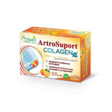 Naturalis ArthroSupport colágeno naranja x 14 sobres