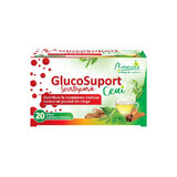 Naturalis GlucoSupport Thé x 20 pl