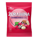 Mezcla de arándanos con chocolate, 70 g, Eurohansa