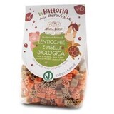 Paste pentru copii cu faina de linte rosie si mazare verde, 250g, Pasta Natura