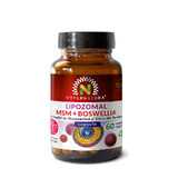 MSM Lipozomal + Boswellia + Glucosamina + Silicio Orgánico, 60 cápsulas, Hypernatura