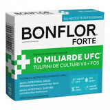 Bonflor Forte, 10 cápsulas, Fiterman Pharma