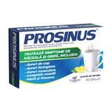 Prosinus 600 mg/12,2 mg poudre pour solution orale, 10 sachets, Fiterman Pharma